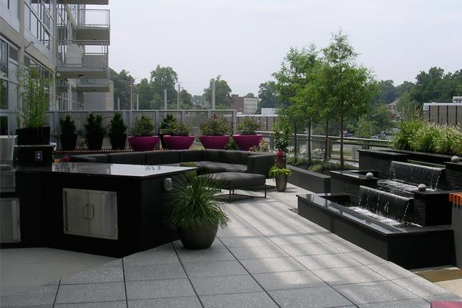rooftop terrace garden